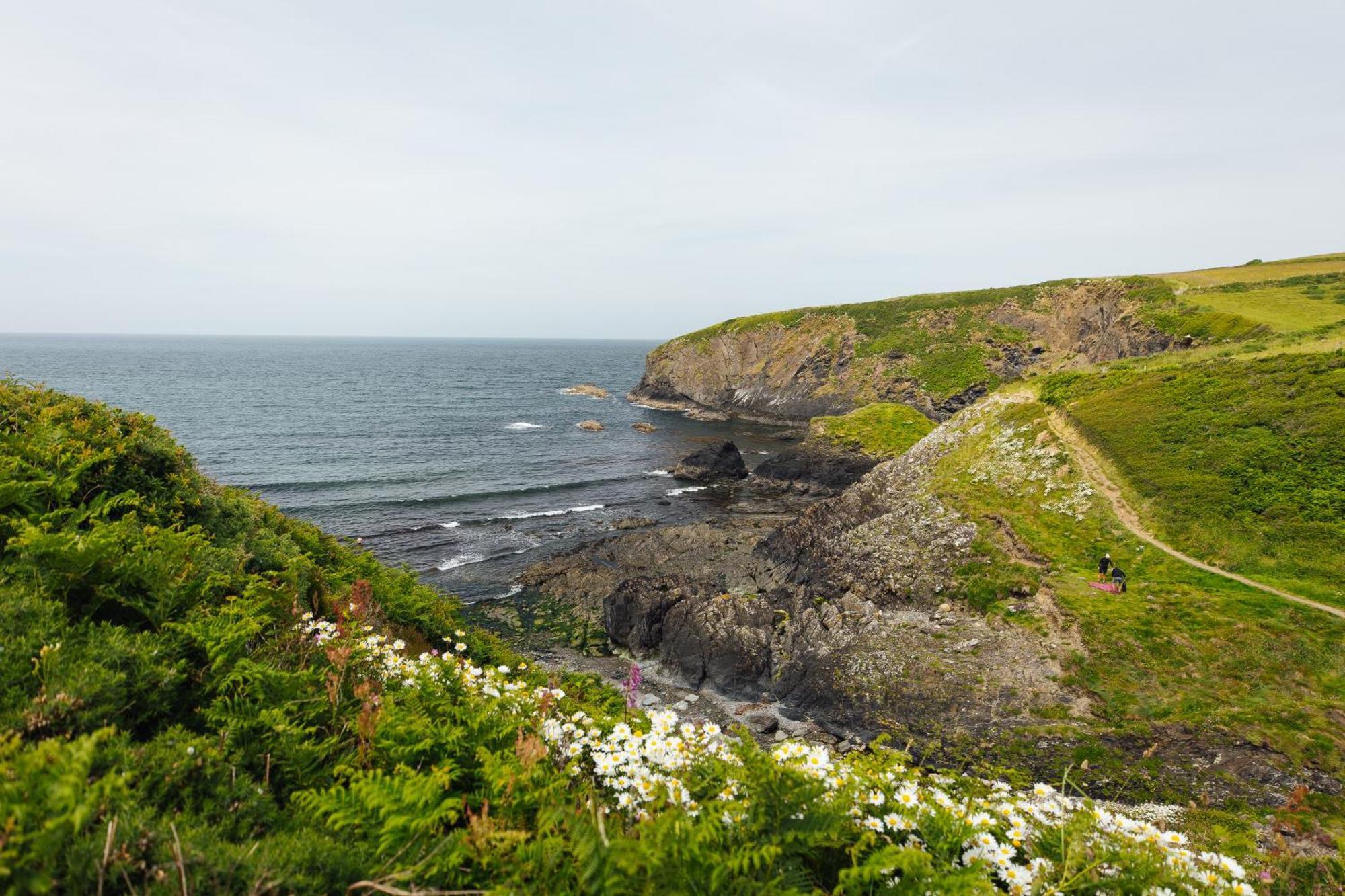 Cliff-Top Cottage On Coast Path W/Panoramic Views Trevine Eksteriør bilde